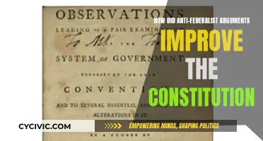 Anti-Federalist Influence: Constitution's Evolution and Checks