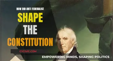 Anti-Federalists' Influence on the Constitution