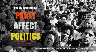 Black Panther Party's Political Impact: Revolutionizing Activism and Policy