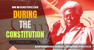 The Constitution: Black Lives Under White Rule