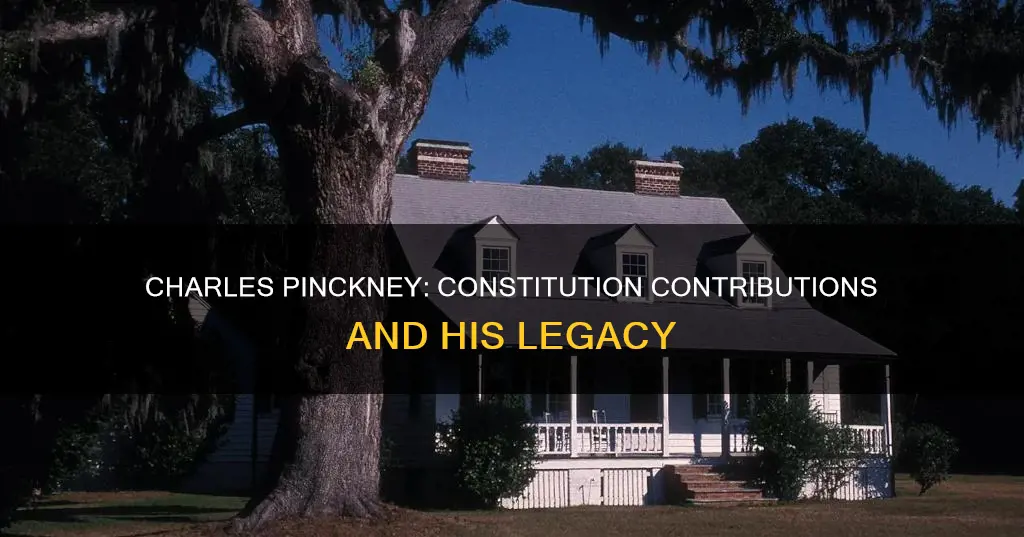 how did charles pickney contribute to the constitution