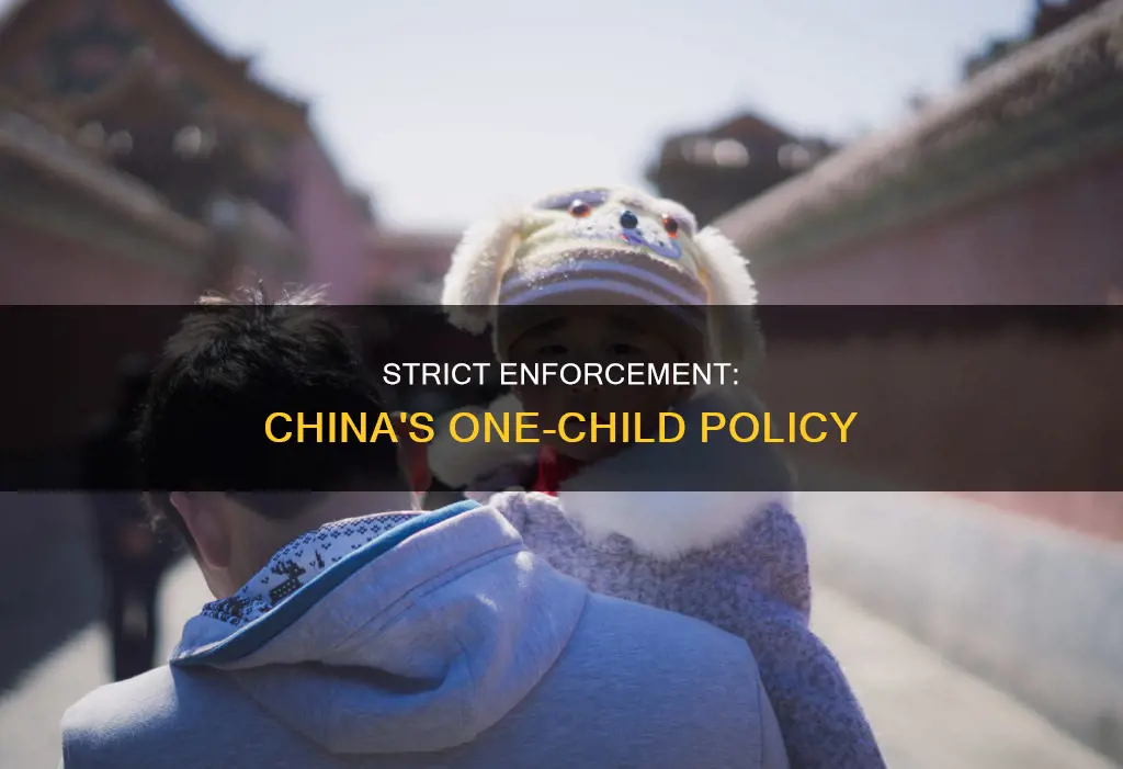 how did china enforce the one child nation constitution policy