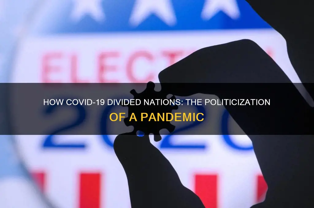 how did coronavirus become political