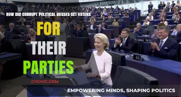 Corrupt Political Bosses: Tactics to Secure Votes for Their Parties