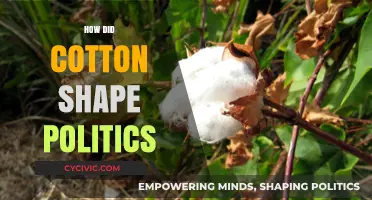 Cotton's Political Power: Shaping Economies, Empires, and Global Politics