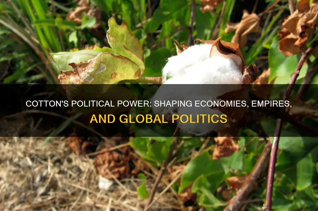 how did cotton shape politics
