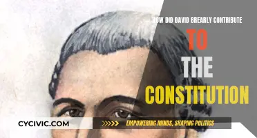 David Brearly: Constitution's Guardian and Framer