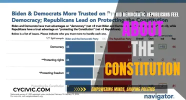 Democratic-Republicans' Take on the Constitution