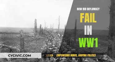 Diplomacy's Failure: World War I's Complex Causes