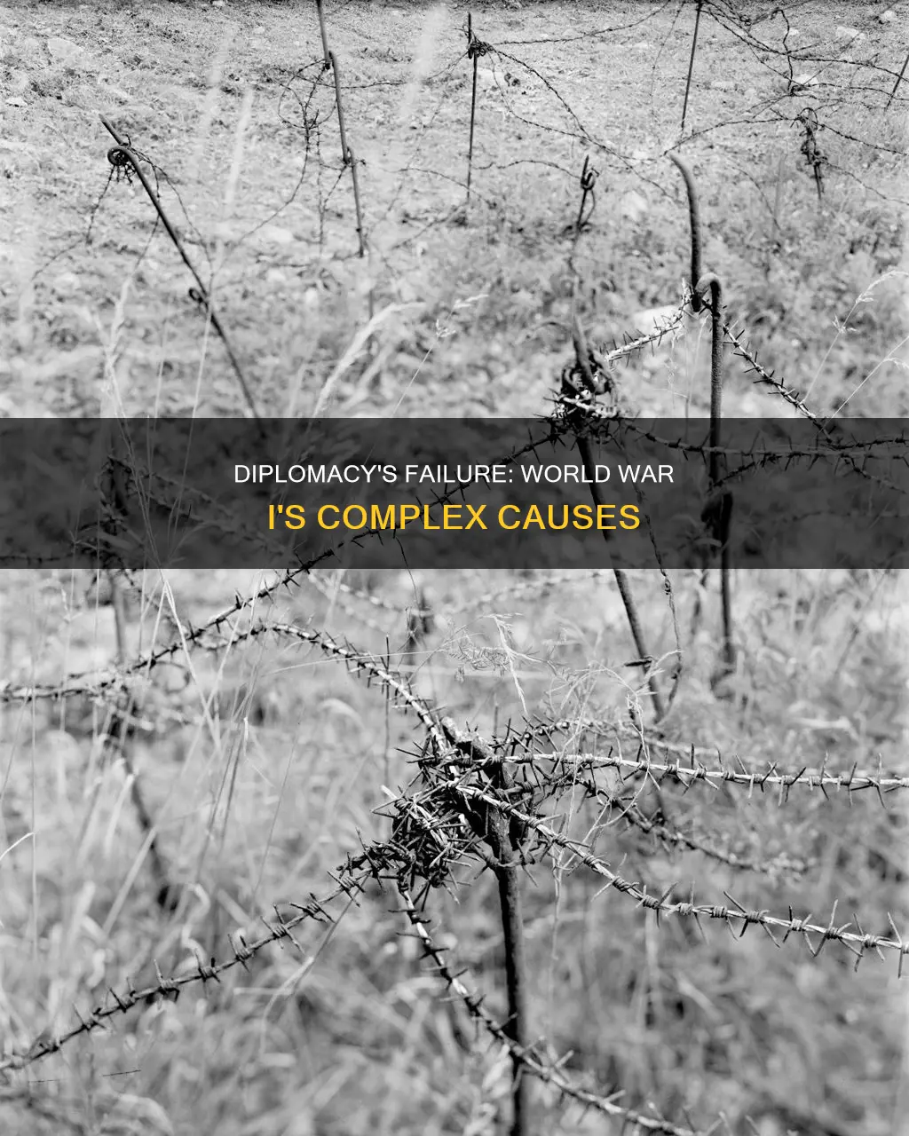 how did diplomacy fail in ww1