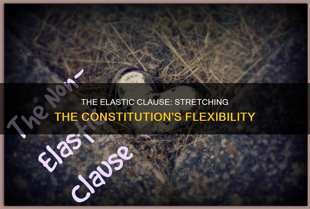 how did elastic clause allow flexibility in the constitution