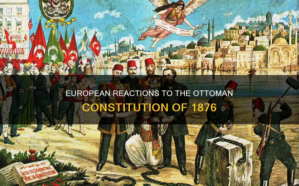how did european allies perceive ottoman constitution 1876