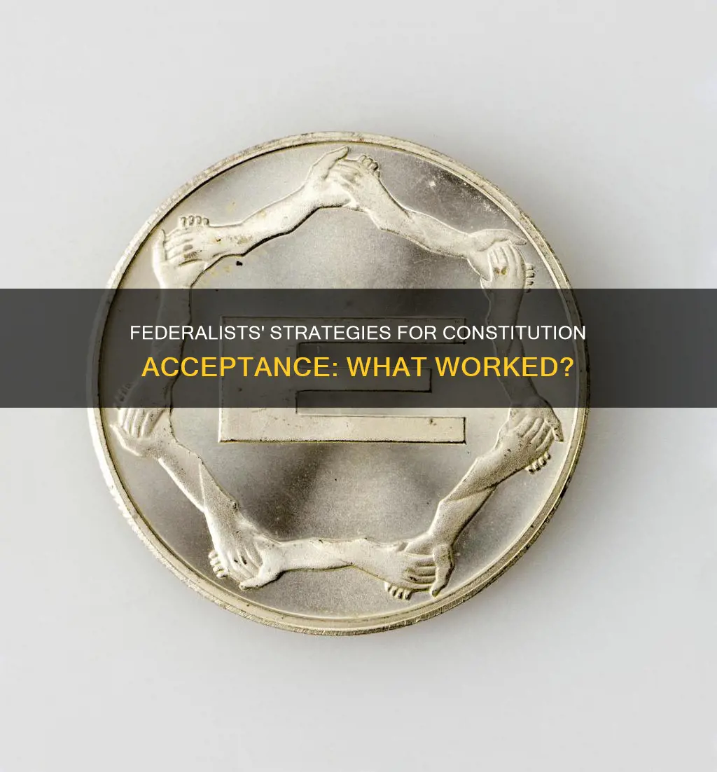 how did federalists convince people to accept the constitution