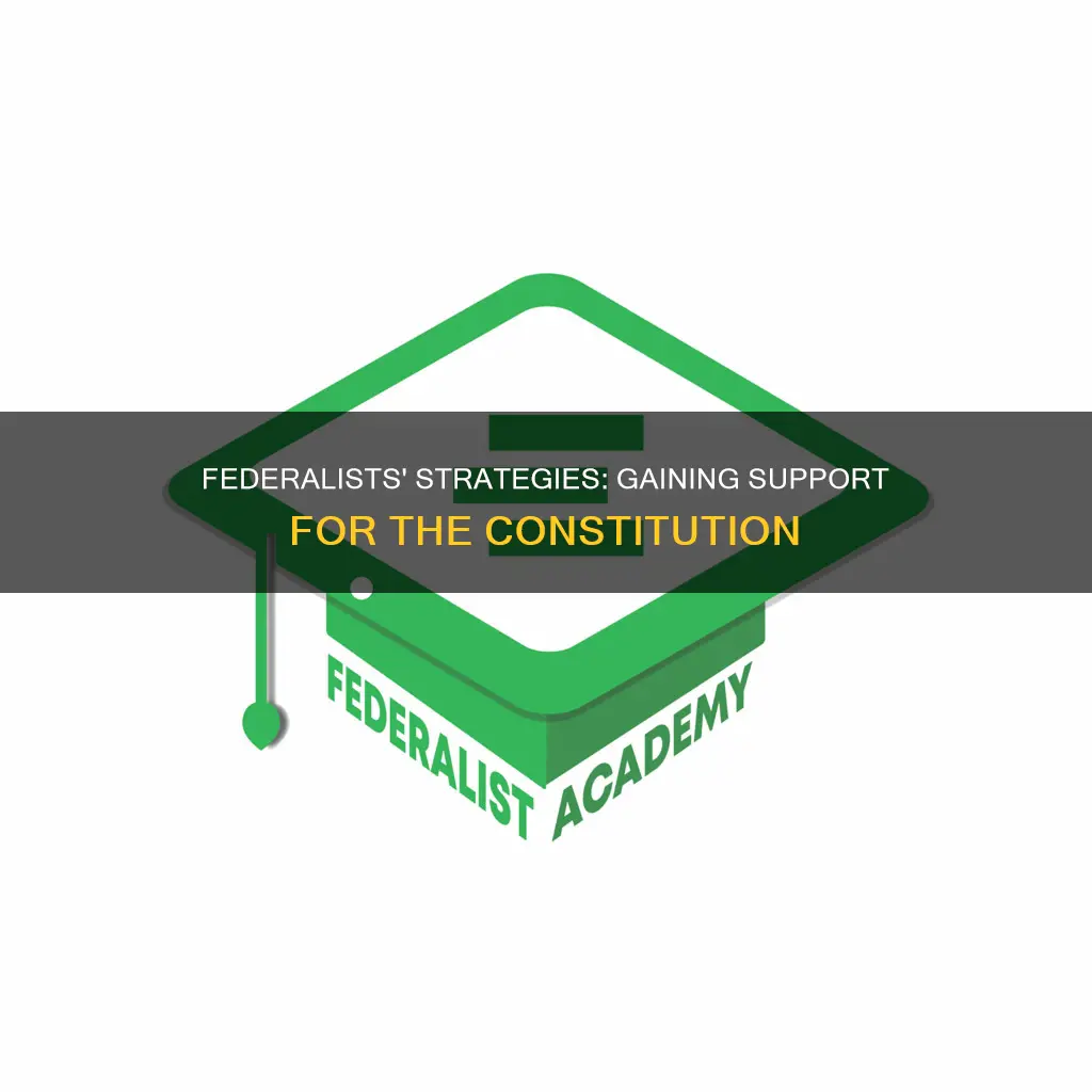 how did federalists convince them to support the constitution