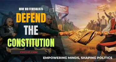 Federalists' Defense Strategies: Protecting the Constitution