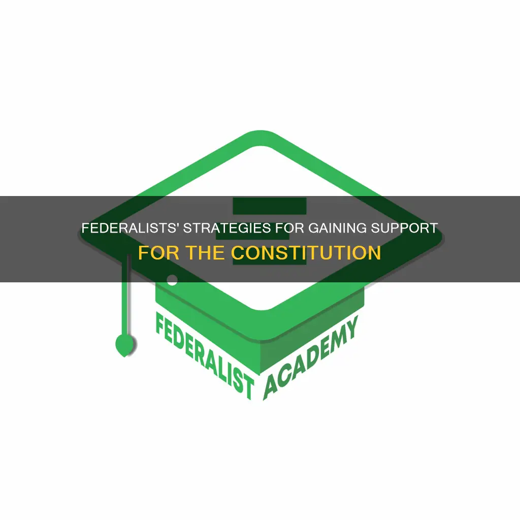 how did federalists win support for the constitution