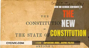 Georgia's Influence on the US Constitution