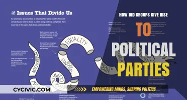 From Social Groups to Political Parties: Evolution of Organized Power