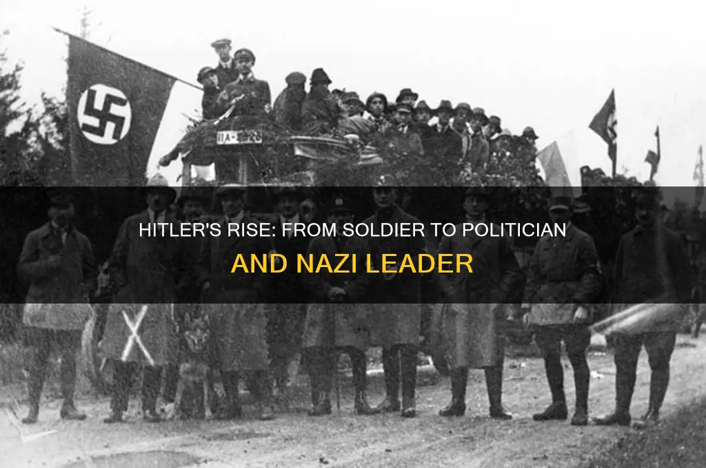 how did hitler enter politics