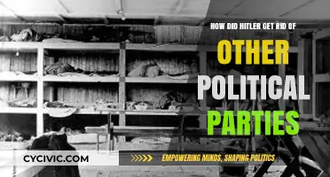 Hitler's Rise: Eliminating Political Opponents and Consolidating Power