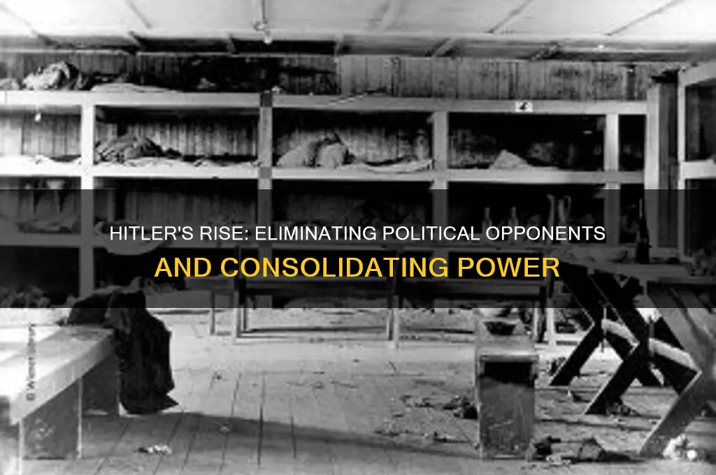 how did hitler get rid of other political parties