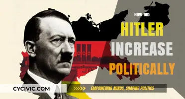 Hitler's Political Rise: Strategies, Manipulation, and Power Consolidation Explained