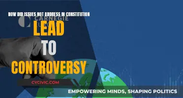 Unaddressed Constitutional Issues: A Recipe for Controversy