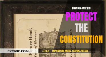 Protecting the Constitution: Jackson's Legacy and Impact