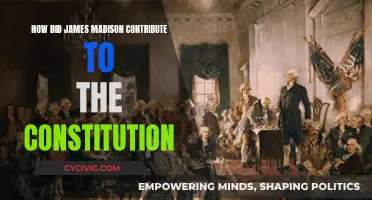 James Madison's Influence on the US Constitution