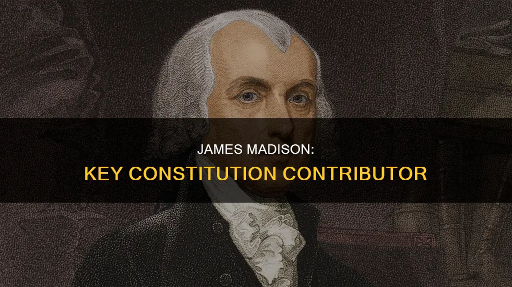 how did james madison contribute to the us constitution