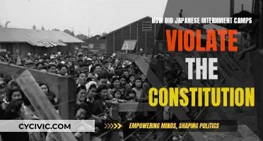 Internment Camps: Violating the Constitution's Core Principles