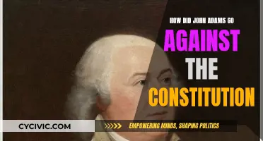 John Adams: A Constitutional Rebel?