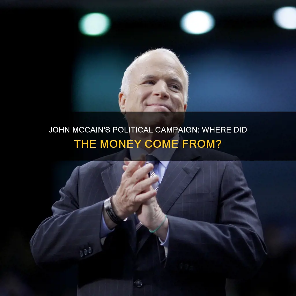 how did john mccain finance his political campaign