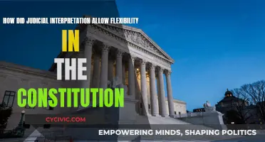 Judicial Interpretation: Flexing the Constitution