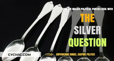 Silver Question: Strategies of Major Political Parties in the 1890s