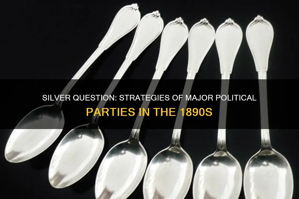 how did major political parties deal with the silver question