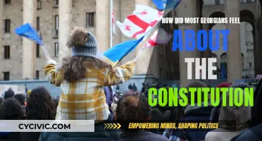 Georgians' Mixed Feelings on the Constitution
