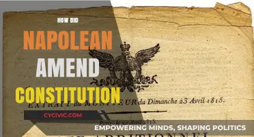 Napoleon's Amendments: Constitution Evolution Under Bonaparte