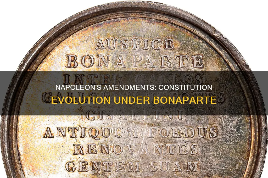 how did napolean amend constitution