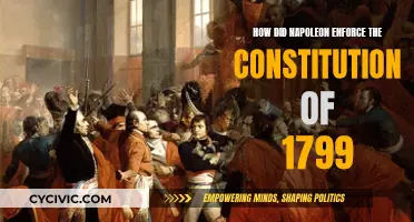 Napoleon's Rise: Enforcing the Constitution of 1799