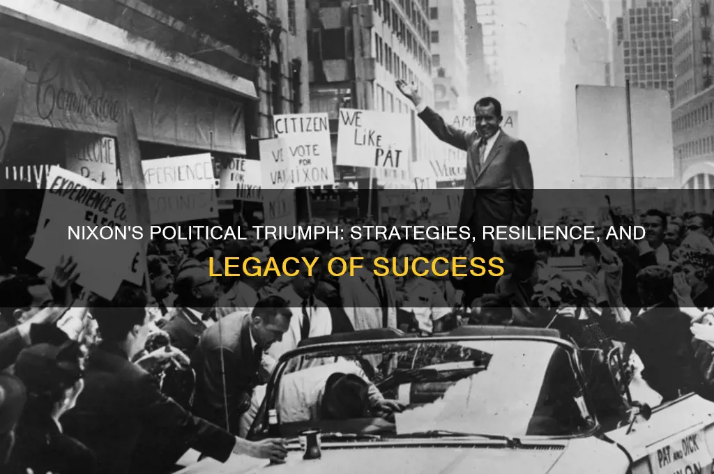 how did nixon succeed politically