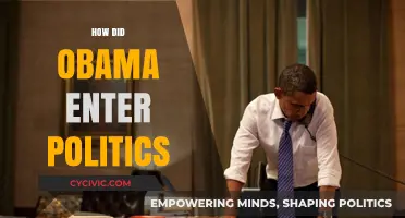 Obama's Political Journey: From Community Organizer to the White House