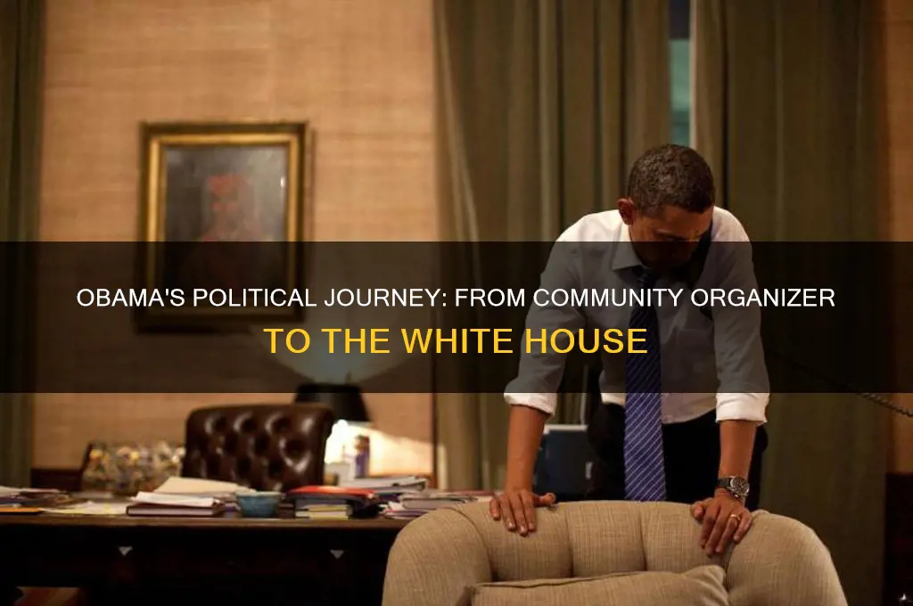 how did obama enter politics