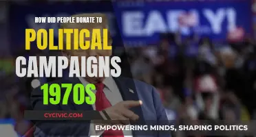 Political Campaign Donations: 1970s Style
