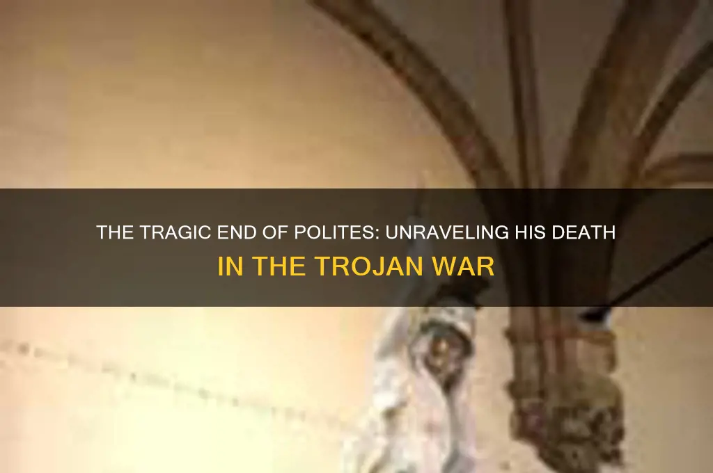 how did polites die