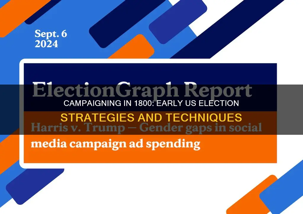 how did political candidates campaign in the election of 1800