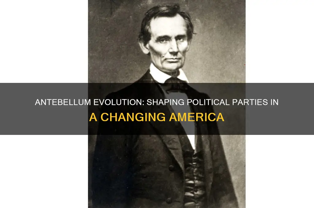 how did political parties develop change during the antebellum period