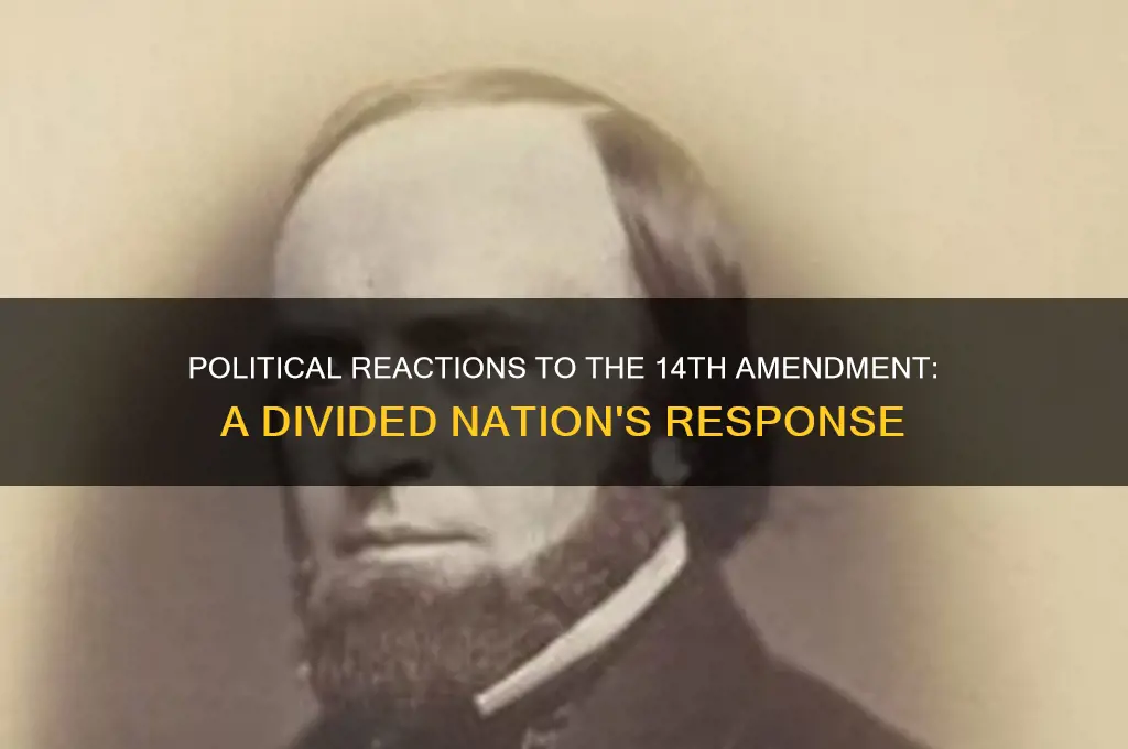 how did political parties react to the 14th amendment