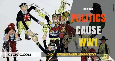 Political Rivalries and Alliances: The Spark Behind World War I