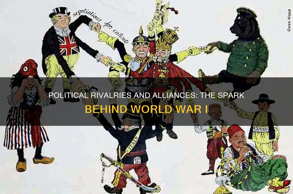 how did politics cause ww1